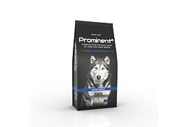 Prominent dog Adult Large breed 12 kg