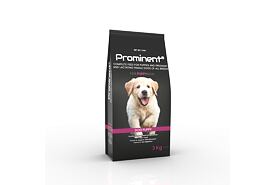 Prominent dog Puppy 3 kg