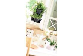 Závěsný petrželák COUBI HERBAL   /150503/