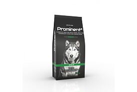 Prominent dog Senior 12 kg