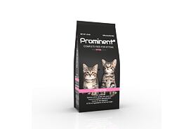 Prominent cat Kitten 1,5 kg