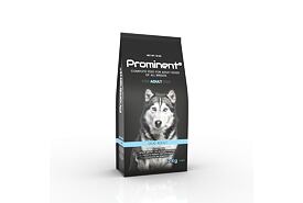 Prominent dog Adult 12 kg
