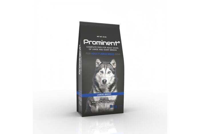 Prominent dog Adult Large breed 12 kg