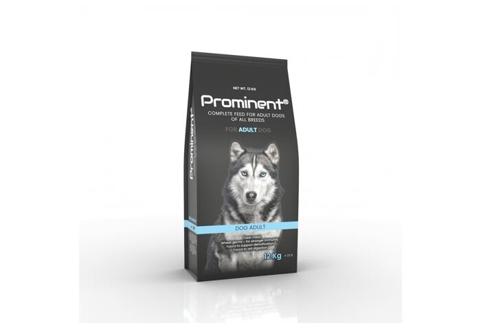 Prominent dog Adult 12 kg